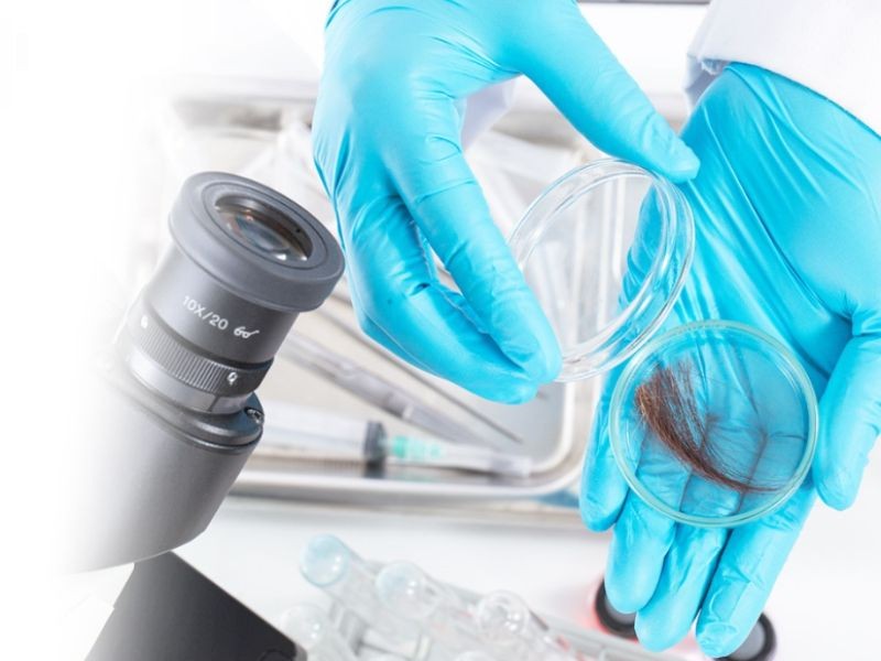 Exame Toxicológico